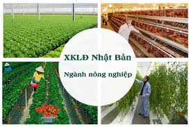 Đơn hàng nông nghiệp